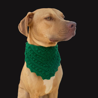 pluto pet bandana.