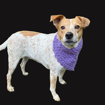 pluto pet bandana.
