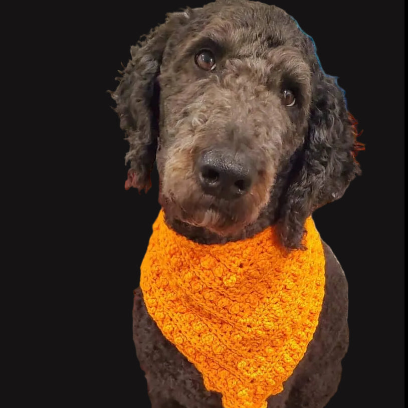 pluto pet bandana.